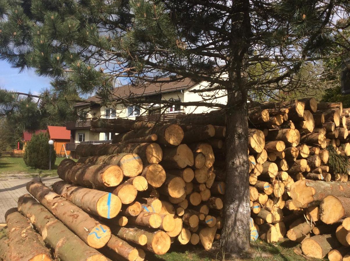 Ferienwohnung Harzblick 1 Braunlage Esterno foto